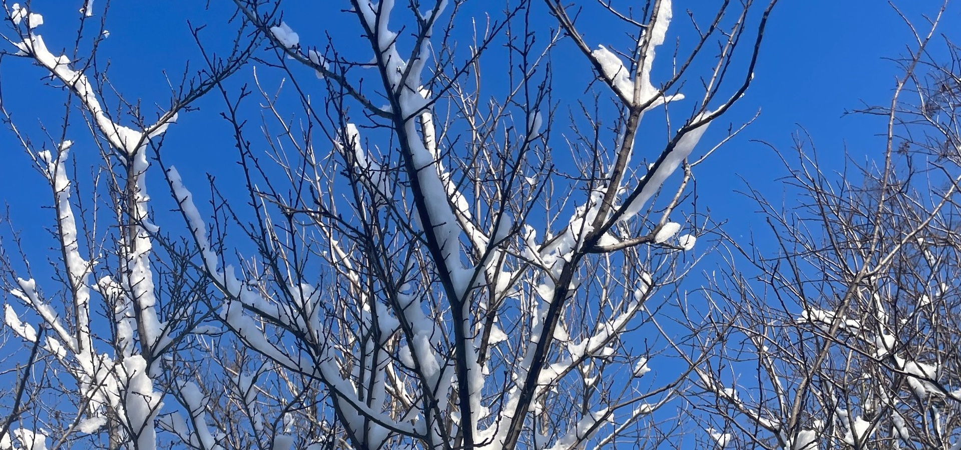 Los inviernos vitales: cuando la identidad entra en transición