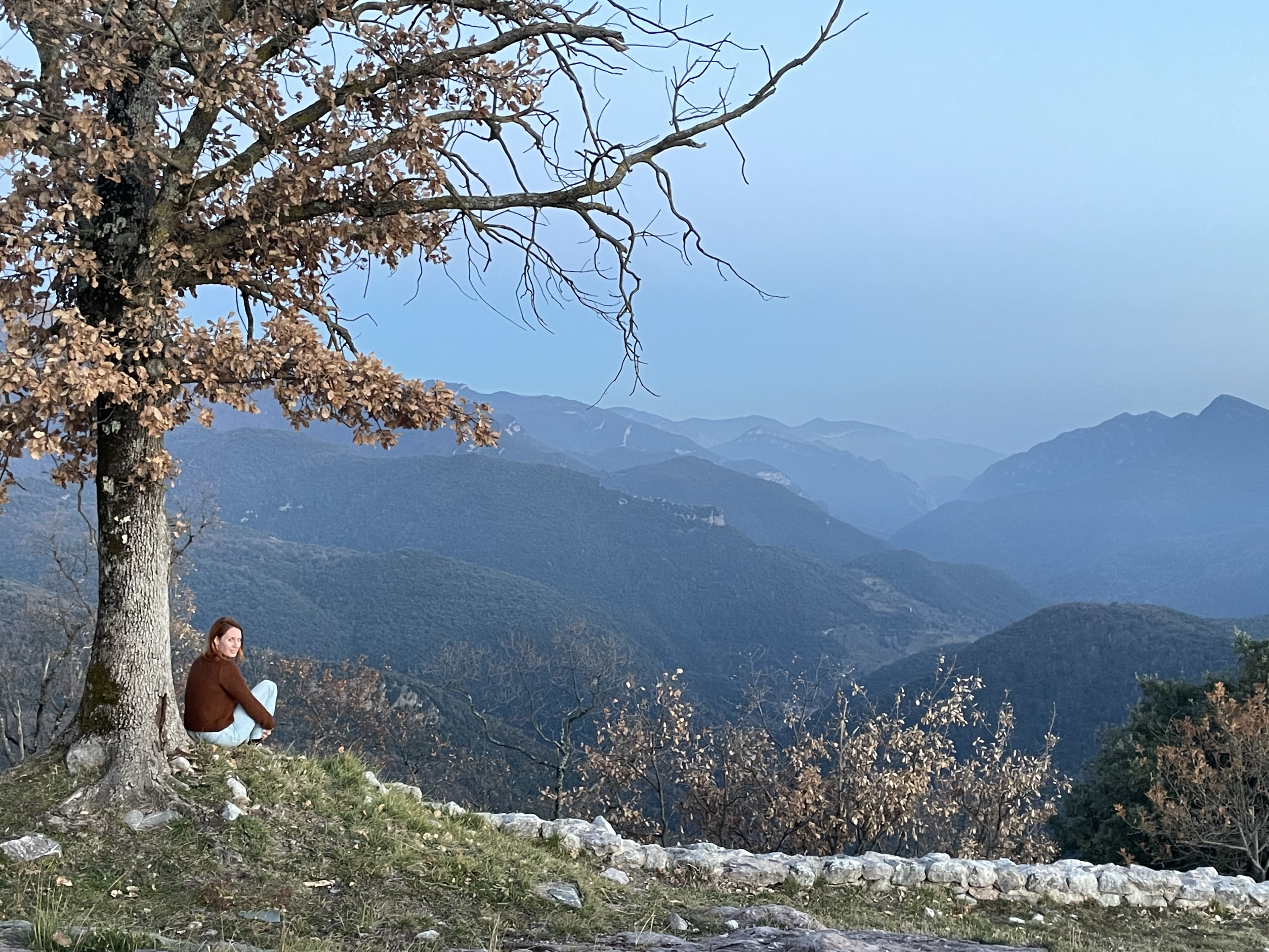 El amor como raíz, presencia y conciencia